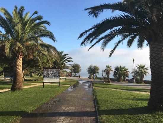 Appartement Avec Piscine Argelès-sur-Mer Exterior foto